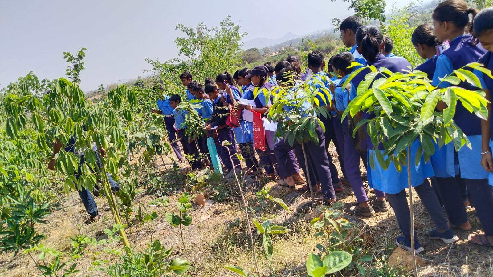 Climate-Change & Ecology Education